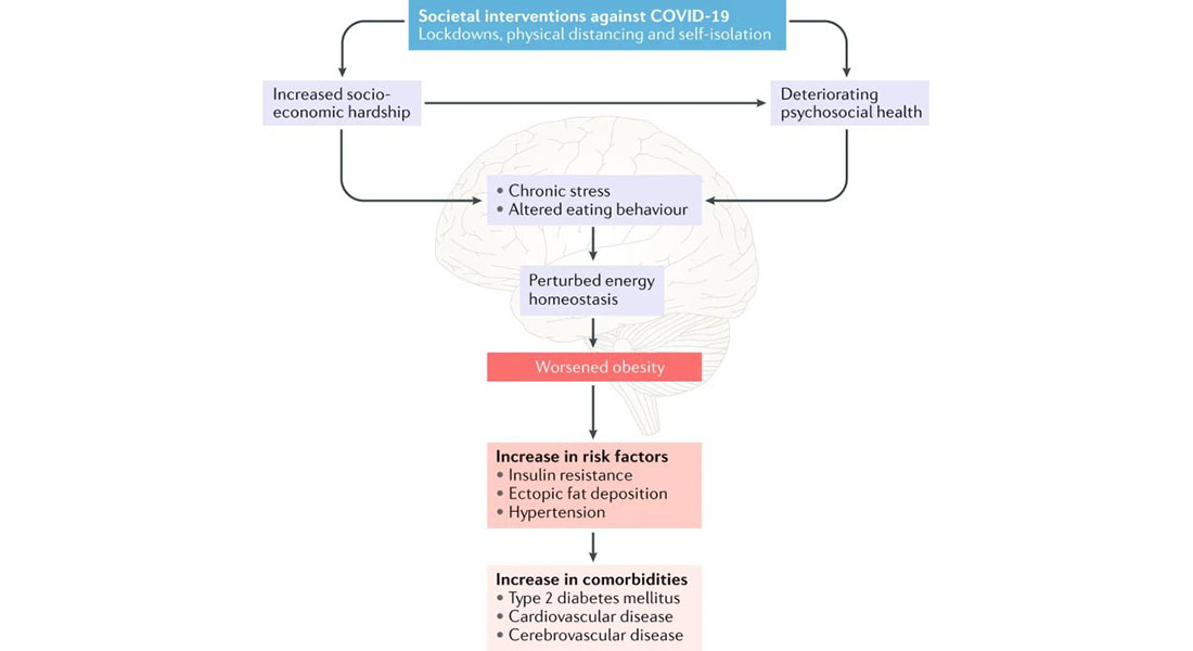 An illustration showing how the lockdown increases the risk of obesity