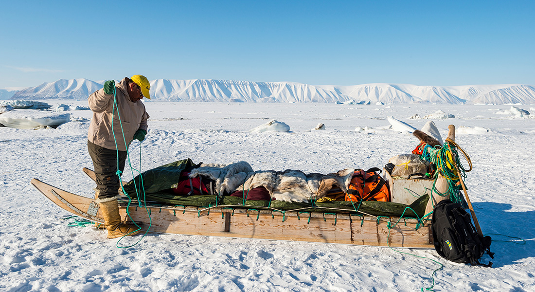 A man secures equipment on an Inuit sledge in Qaanaaq, Greenland. (Shutterstock)