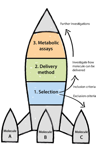 The delivery method follows three basic steps. Molecules are selected based on inclusion and exclusion criteria, the delivery method is investigated to see how the molecule can be delivered, and finally metabolic assays are conducted to evaluate their potential