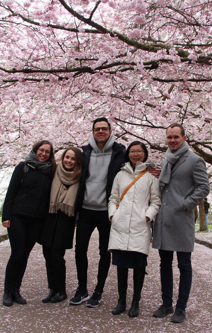 Cherry blossoms in the city