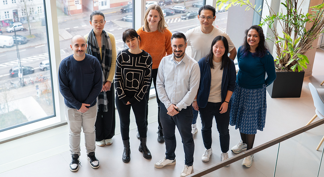 Group photo of the Merino Group